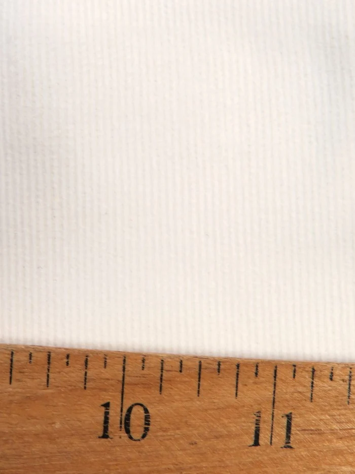 21 Wale Stretch Corduroy / Prime for Dye / Stretch Corduroy - Image 3