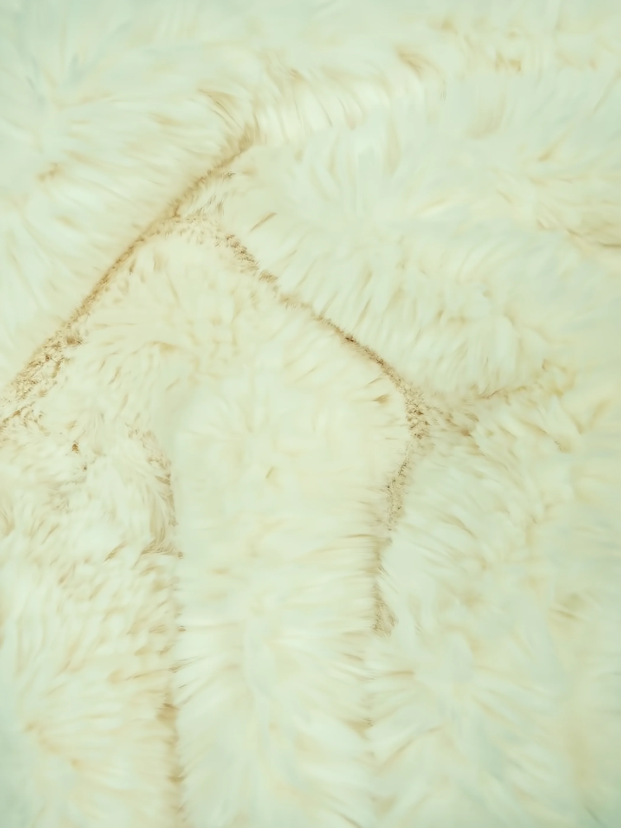 Arctic Rabbit Minky / Ivory