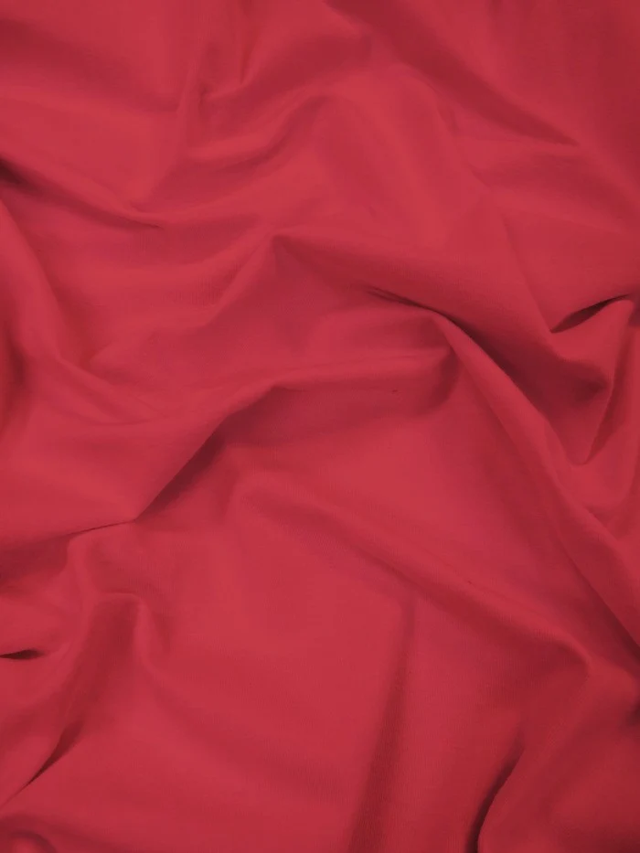 Cotton Jersey Spandex Apparel Fabric - Image 13