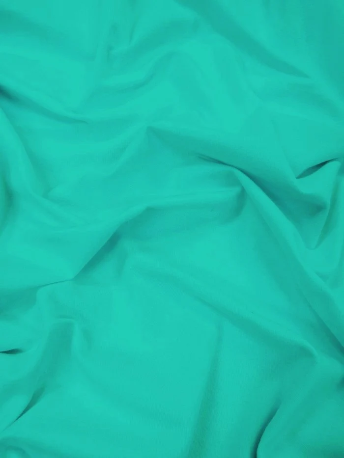 Cotton Jersey Spandex Apparel Fabric - Image 26