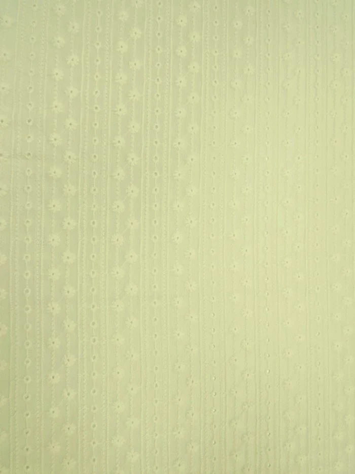 Eyelit Floral Stripe Embroidery Lace - Ivory