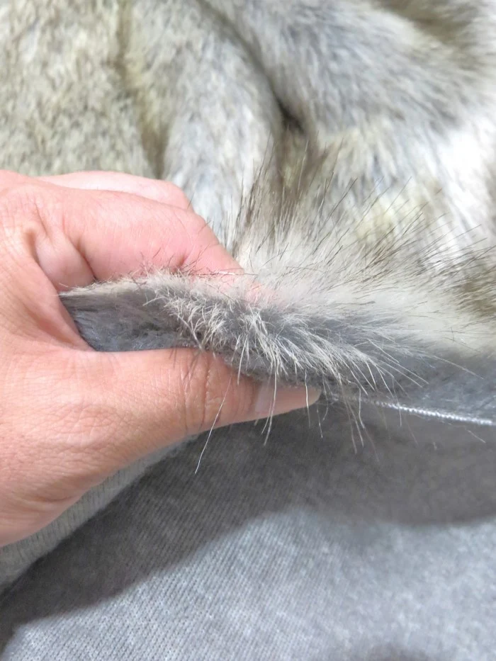 Wolf Animal Long Pile Faux Fur Fabric / Sold By The Yard - Image 27