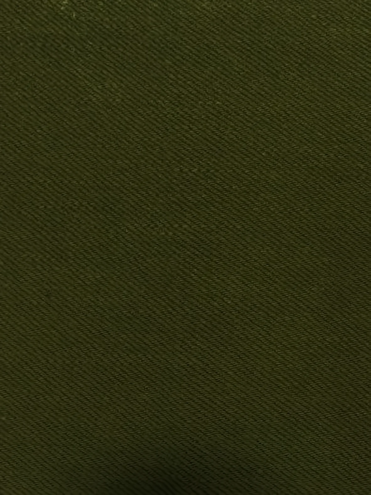 Japanese Selvedge Denim Fabric / Olive (Japan Nihon Menpu)