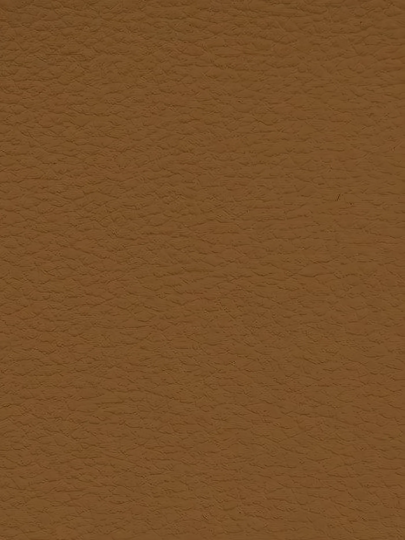 RUST Premium Auto & Contract Vinyl - Palma Vinyl