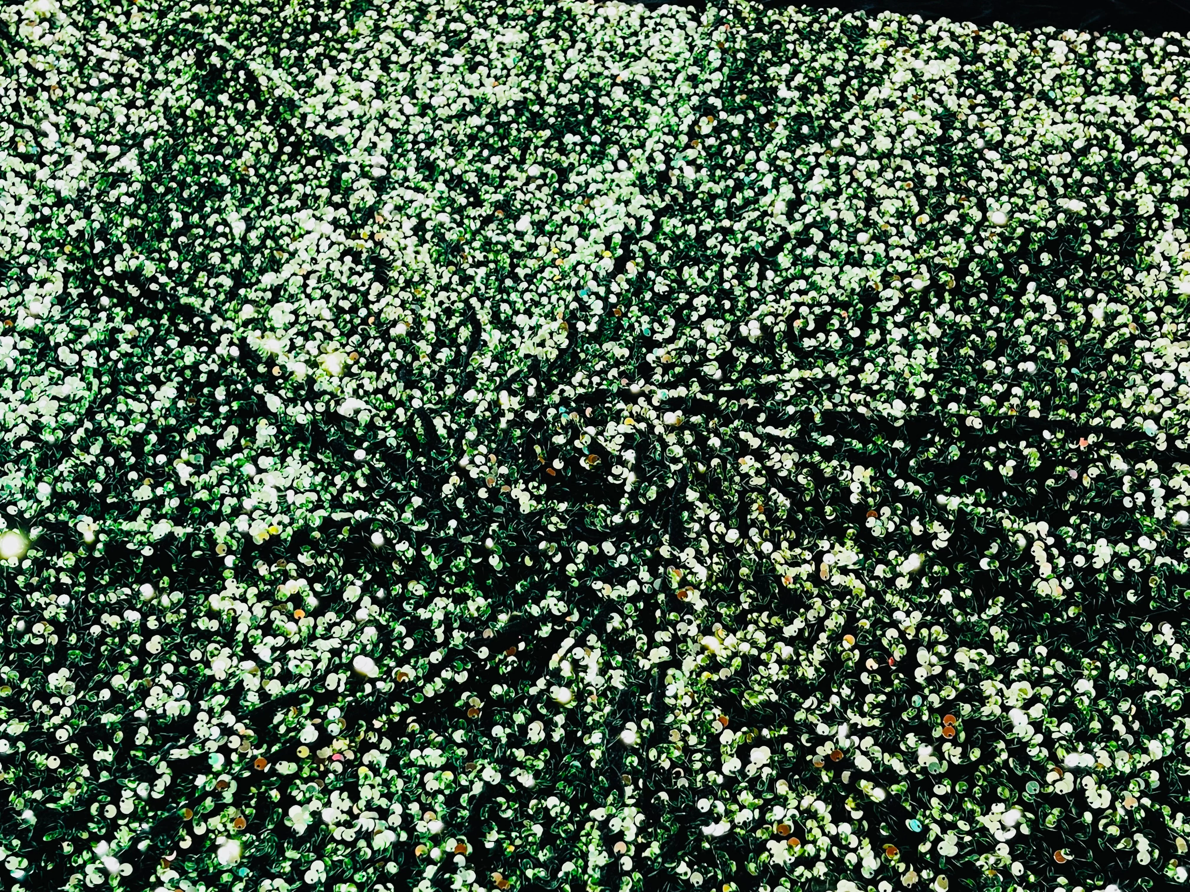 SEQUIN VELVET FABRIC (By The Yard) - Image 4