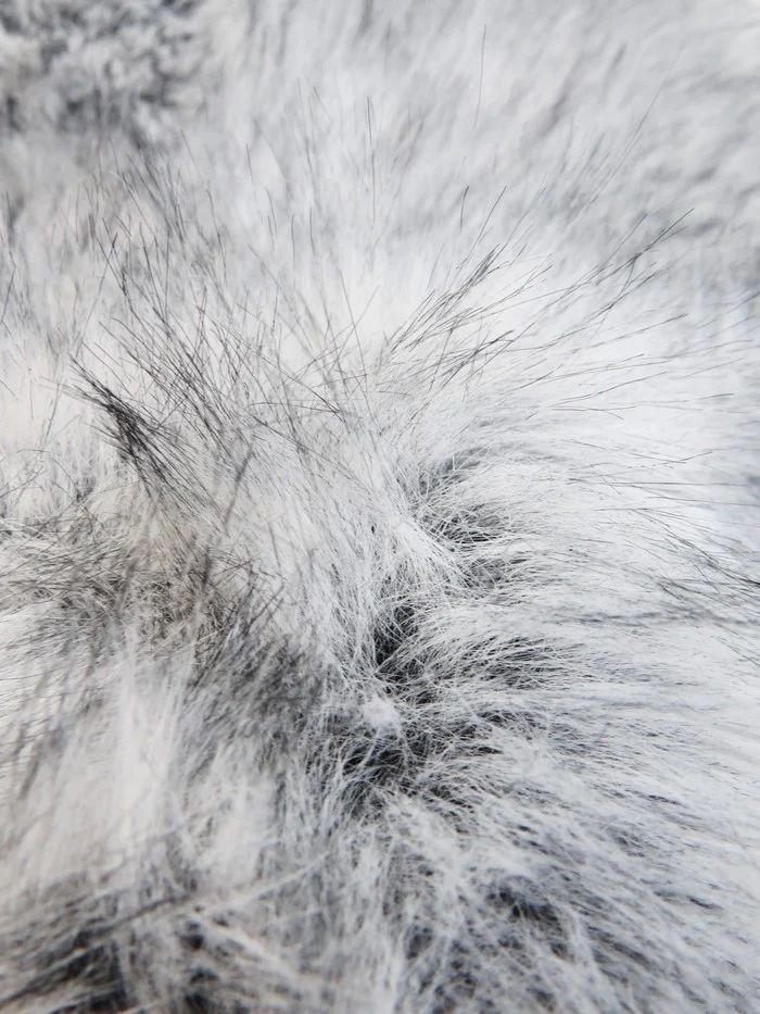 Silver Neo Wolf Anti-Shed Animal Faux Fur / Sold by the Yard - Image 6