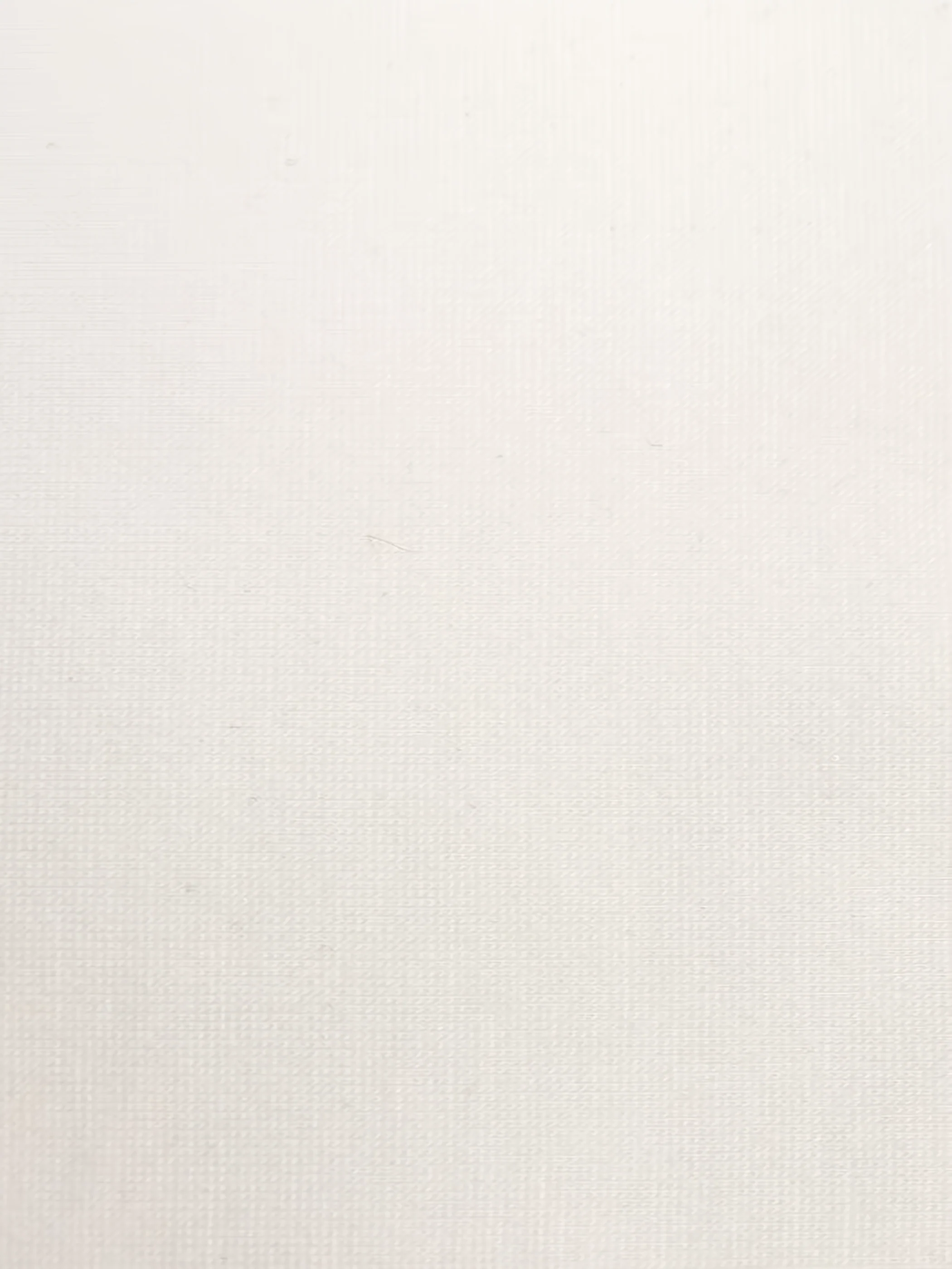 White 320 GSM 67% RAYON/28% NYLON/5 % SPANDEX CASANOVA Fabric